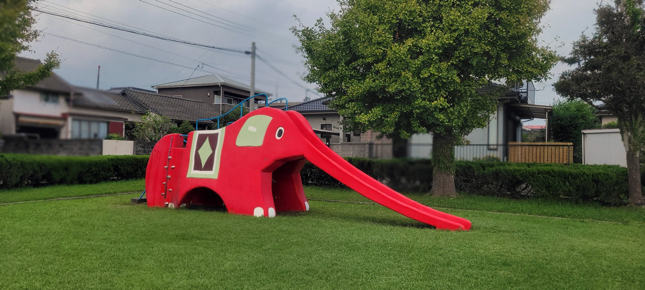 動物の名のついた公園めぐり、未来共創プロジェクト～市制20周年記念事業選考会～のプレゼン拝聴。オクトーバーランアンドウォークは鹿児島で40代1位になりました。