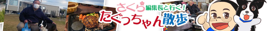 さくら編集長と行く　たぐっちゃん散歩